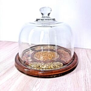 Gamut Design Glass Cloche Dome Wood Base‎ Seed Display Vintage Terrarium